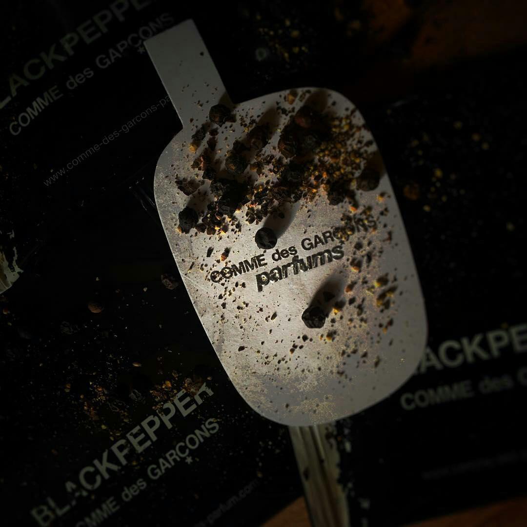 تصویر از جذابیت فلفل سیاه : بررسی عطرComme des Garçons Black Pepper